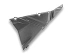 DBK Matt Carbon Frame Cover Mts V4 RS