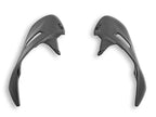 DBK Hm 698 Mono Matt Carbon Exhaust Top Guards