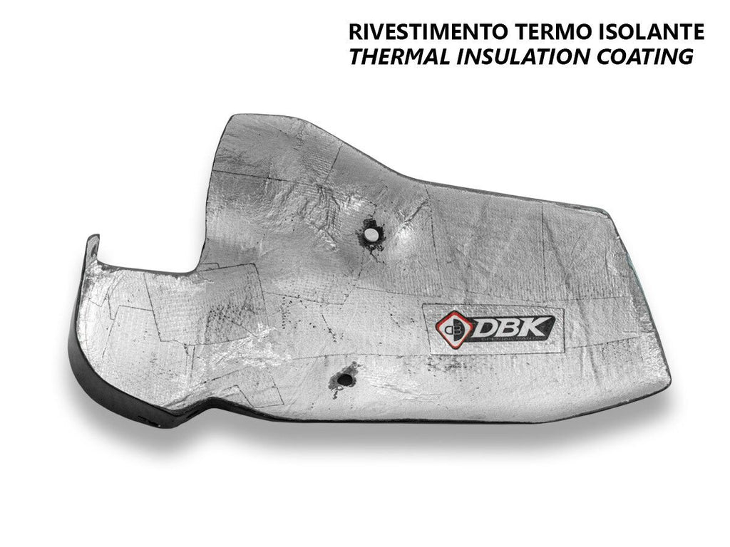 DBK BMW R1300GS Glossy Carbon Exhaust Guard