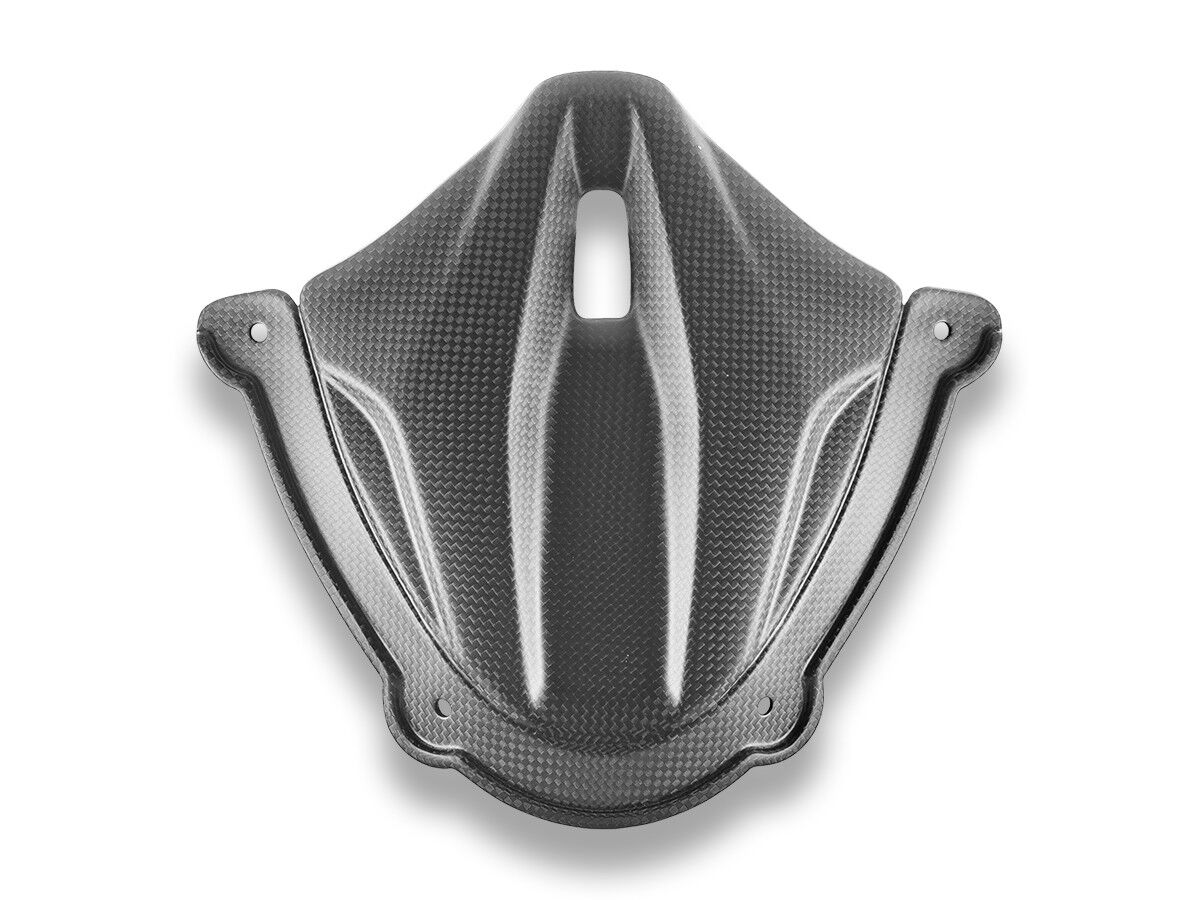 DBK Panigale V4 MY25 Carbon Instrument Cover