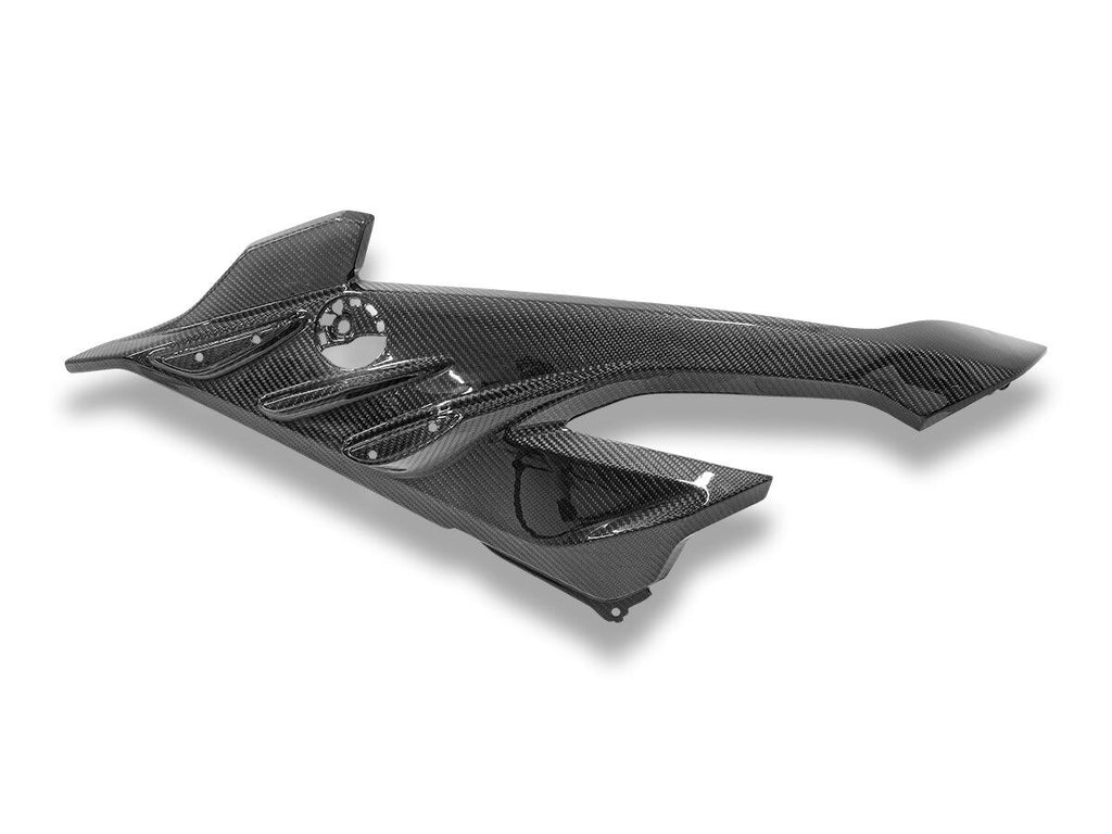 DBK BMW S1000RR MY2023 Glossy Carbon Side Panel Infill