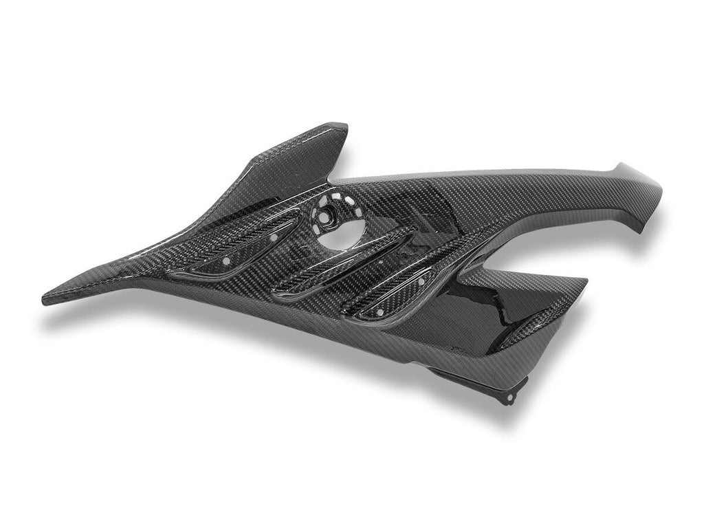 DBK BMW S1000RR MY2023 Glossy Carbon Side Panel Infill