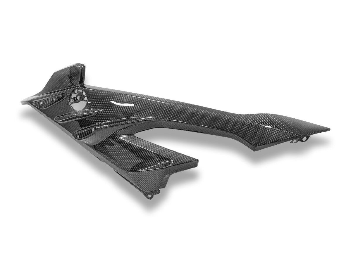 DBK BMW S1000RR MY2023 Glossy Carbon Side Panel Infill