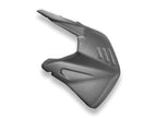 DBK Panigale/Sf V4 MY25 Carbon Swingarm Protector