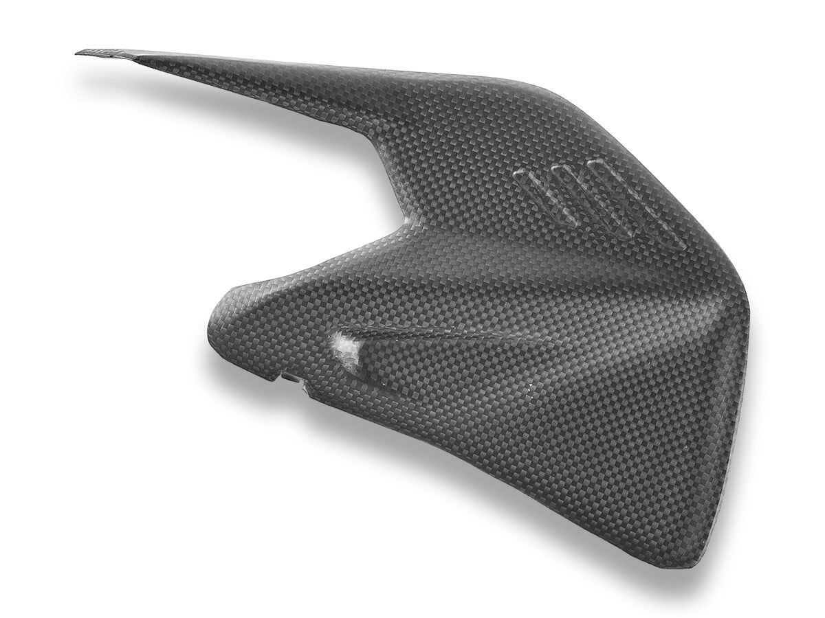 DBK Panigale/Sf V4 MY25 Carbon Swingarm Protector
