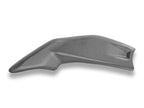 DBK Panigale/Sf V4 (2025) Matt Carbon Frame Cover
