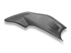 DBK Panigale/Sf V4 (2025) Matt Carbon Frame Cover