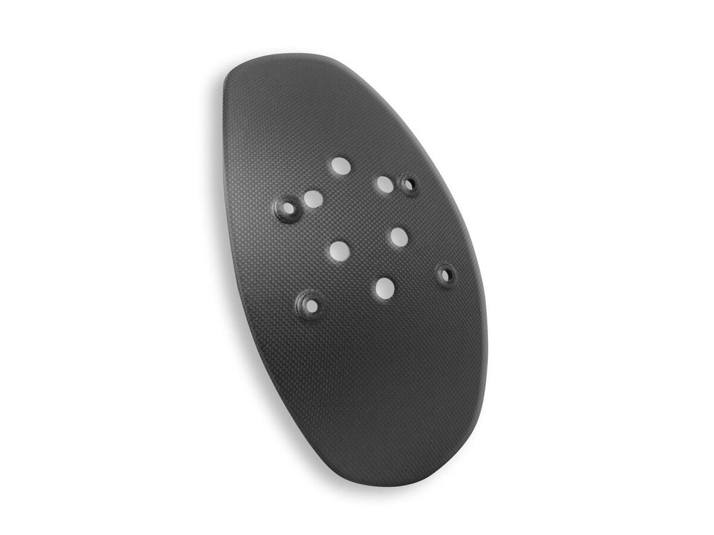 DBK Diavel 1260/V4 Matt Carbon Number Plate Fender