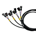 SP Electronics Plug&Play wiring harness for DTI4 Quick Shifter kit