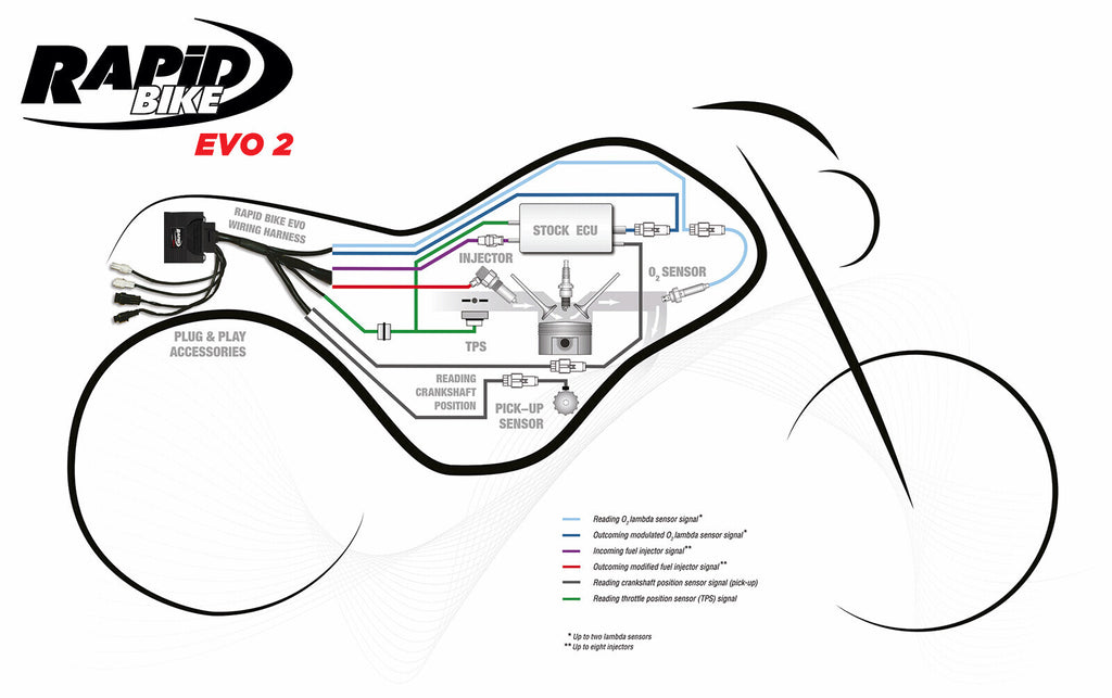 Rapid Bike Evo2 for Ducati Multistrada 1200 all mod 15-18