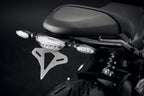 Evotech Tail Tidy - Triumph Trident (2025)