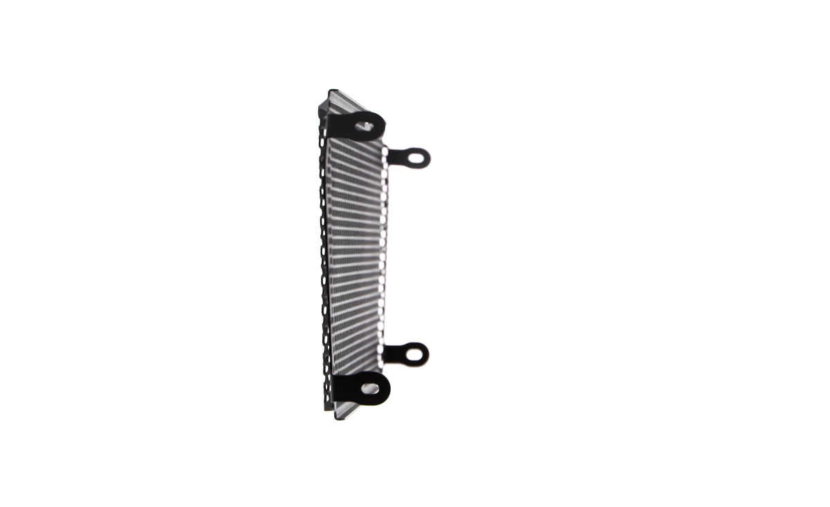 Evotech Radiator Guard - Aprilia Shiver 900 (2018 - 2021)