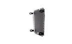 Evotech Radiator Guard - Aprilia Shiver 900 (2018 - 2021)