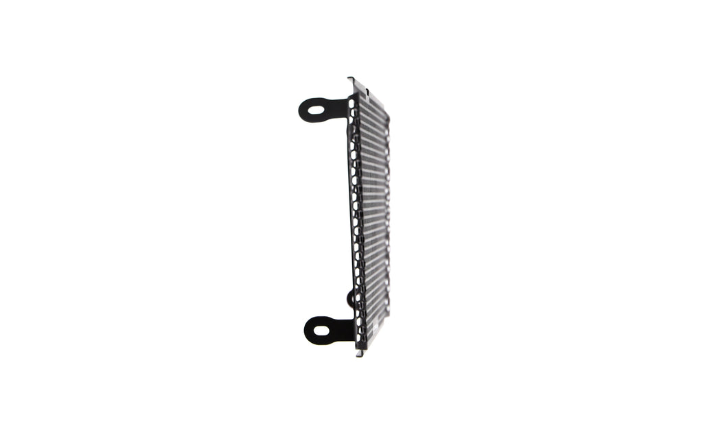 Evotech Radiator Guard - Aprilia Dorsoduro 750 (2017)
