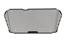 Evotech Radiator Guard - Aprilia Shiver 900 (2018 - 2021)