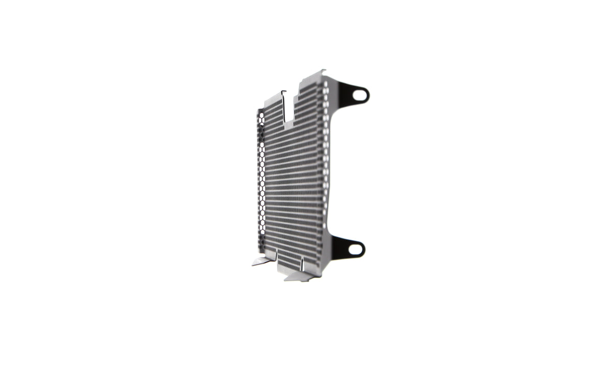 Evotech Radiator Guard - BMW R 1200 R (2015 - 2018)