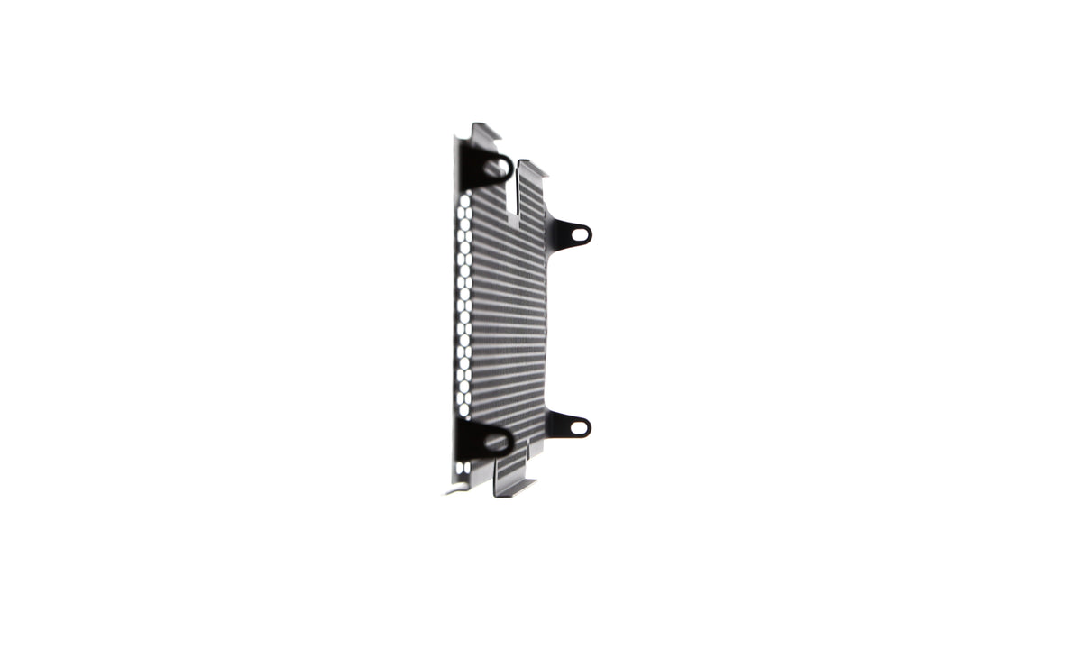 Evotech Radiator Guard - BMW R 1200 R (2015 - 2018)