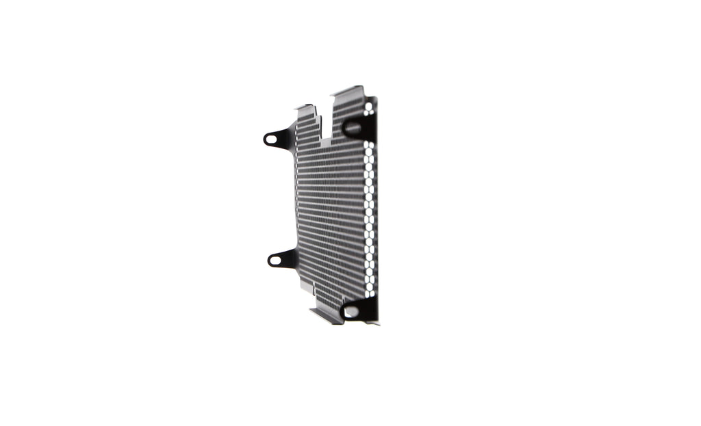 Evotech Radiator Guard - BMW R 1250 R Sport (2019+)