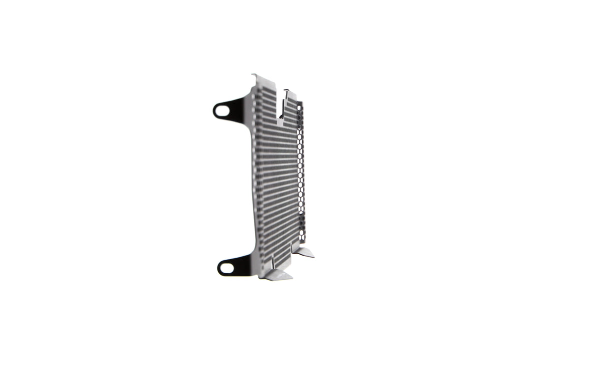 Evotech Radiator Guard - BMW R 1200 R (2015 - 2018)