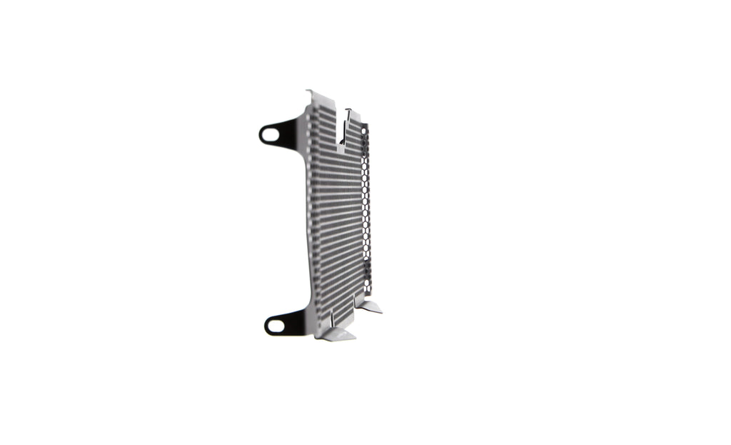 Evotech Radiator Guard - BMW R 1250 R Sport (2019+)