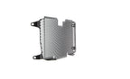 Evotech Radiator Guard - BMW R 1250 R (2019+)