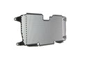 Evotech Radiator Guard - BMW R 1250 R Sport (2019+)