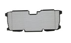 Evotech Radiator Guard - BMW R 1250 RS (2022+)