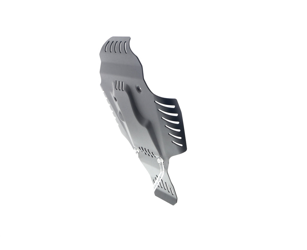 Evotech BMW R nineT Engine Guard (2017+)