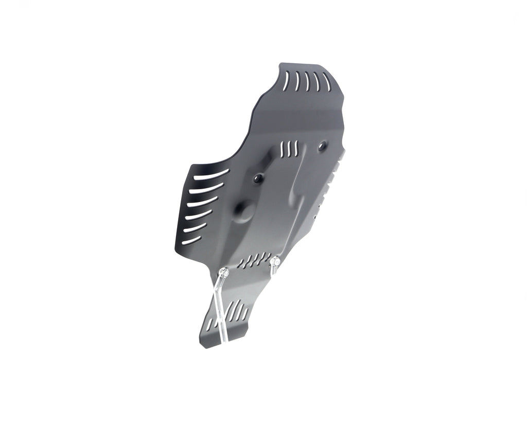 Evotech BMW R nineT Engine Guard (2017+)