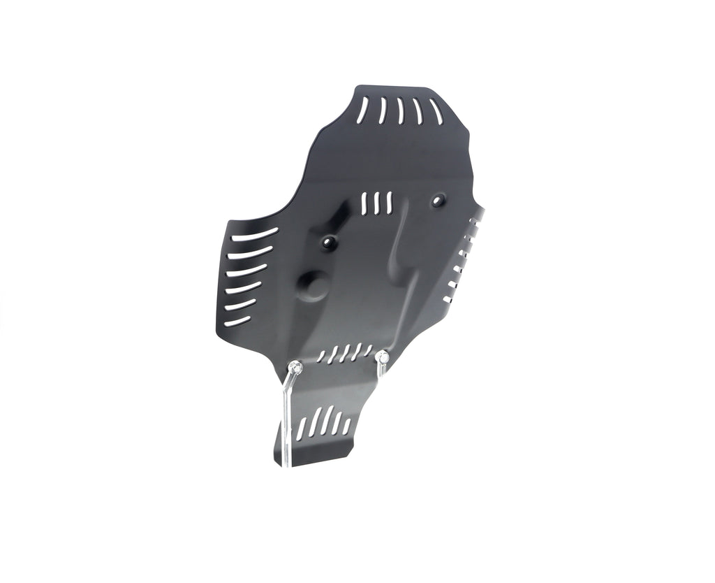 Evotech BMW R nineT Engine Guard (2017+)