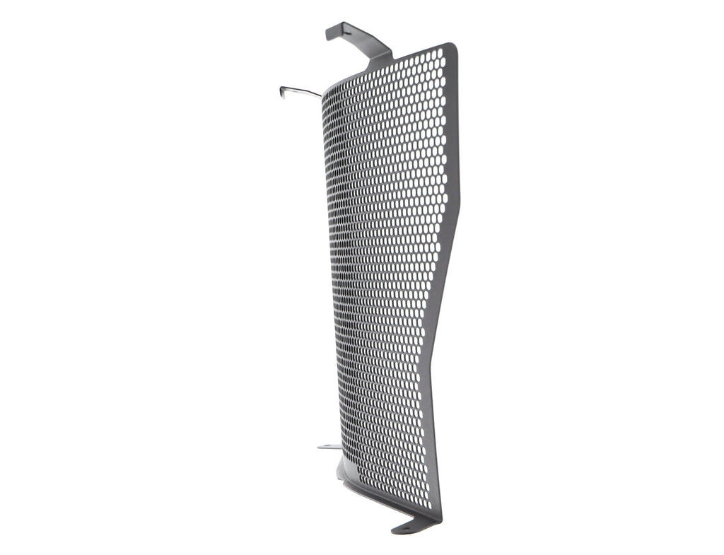Evotech Radiator Guard - BMW S 1000 R (2017-2020)