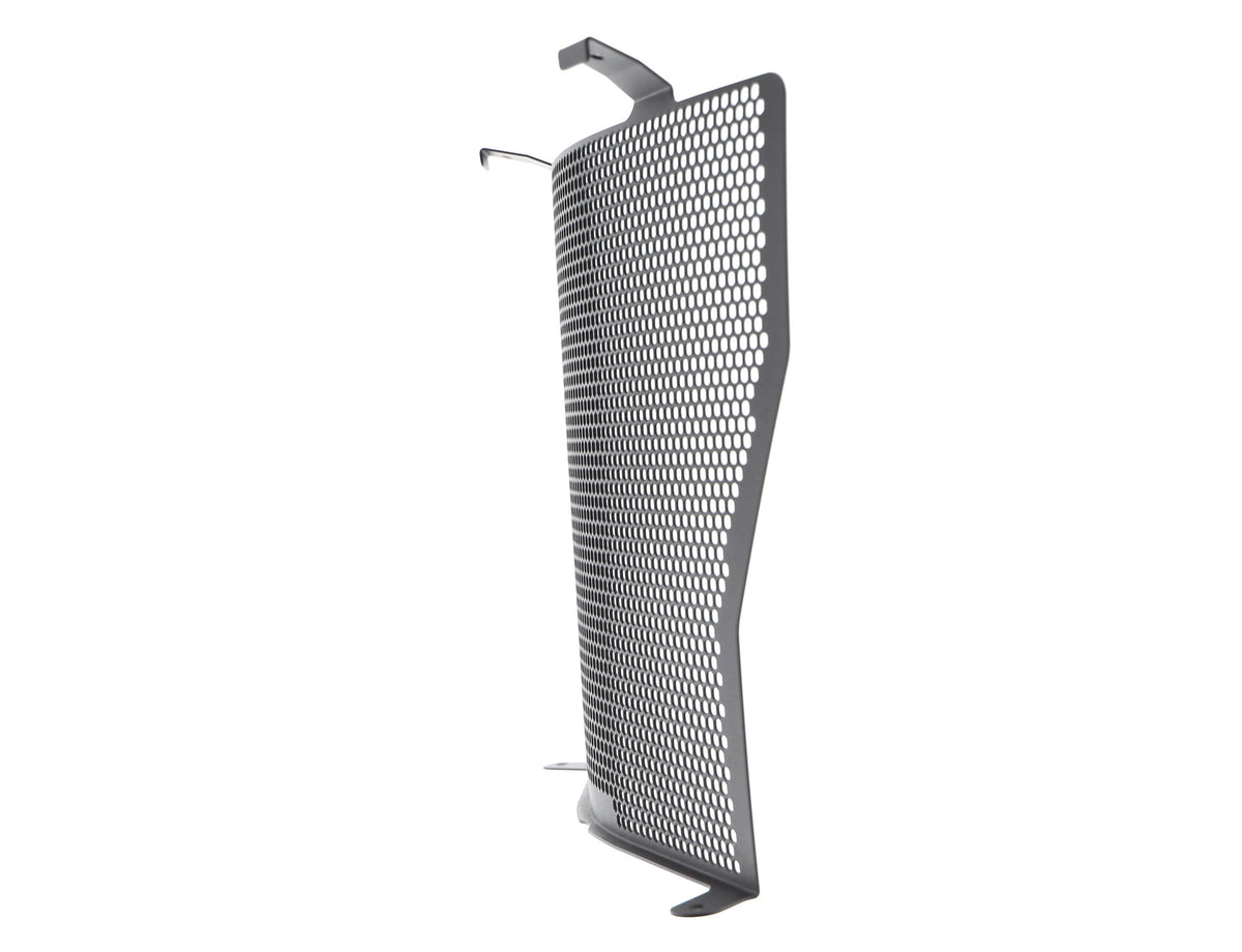 Evotech Radiator Guard - BMW S 1000 R (2017-2020)