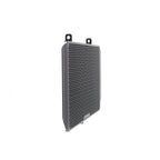 Evotech Kawasaki Z1000 SX Radiator Guard 2017 - 2019