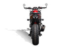 Evotech Tail Tidy (Clear Rear Light) - Triumph Trident 800 (2026+)