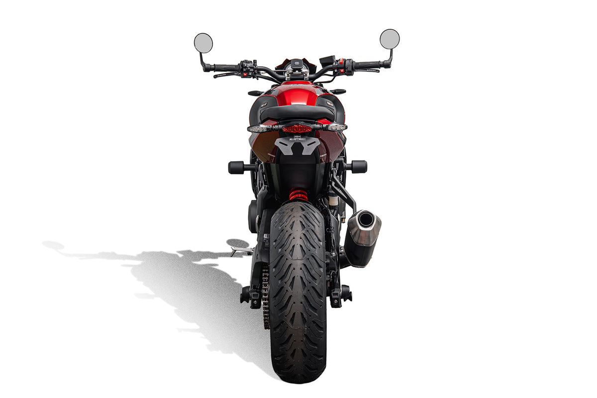 Evotech Tail Tidy (Red Rear Light) - Triumph Trident 800 (2026+)