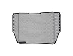 Evotech Radiator Guard - Triumph Speed Triple RS (2018 - 2020)