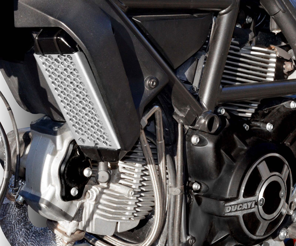 DBK Scrambler Oil Cooler Guard
