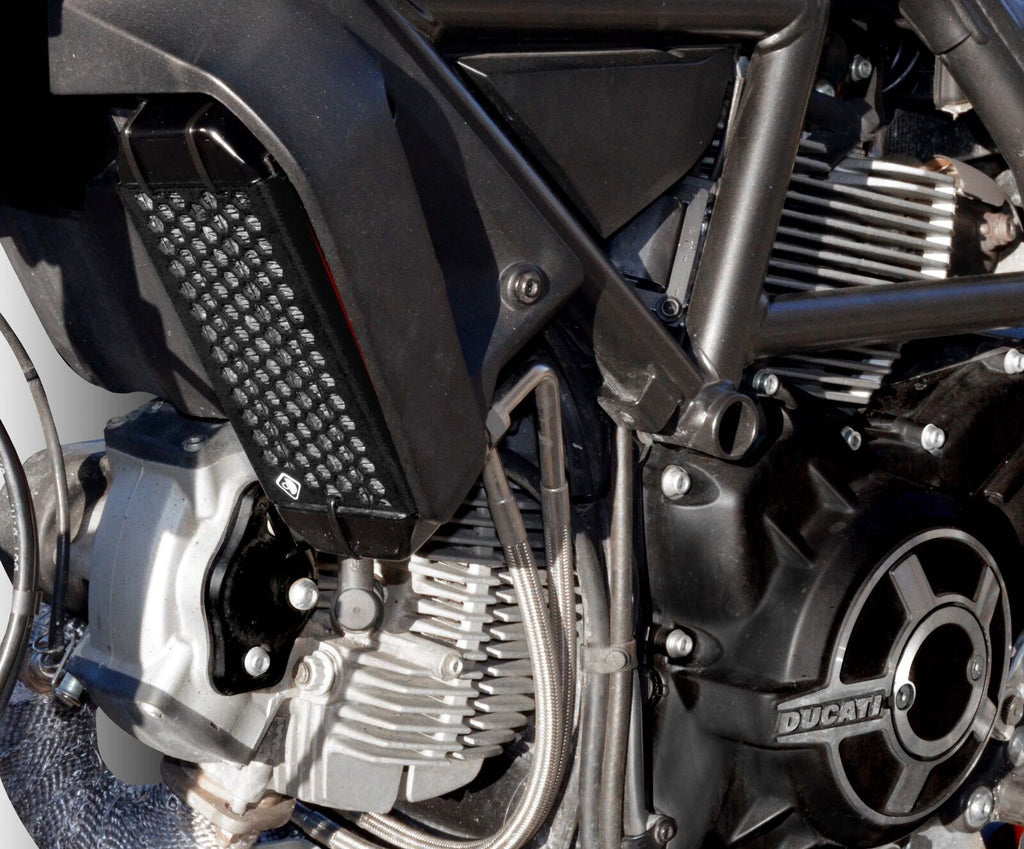 DBK Scrambler Oil Cooler Guard