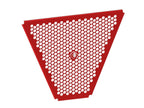 DBK Panigale V4 Oil Radiator Guard