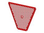 DBK Panigale V4 Oil Radiator Guard