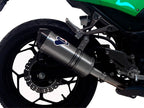 KAWASAKI NINJA 300R 12-17 Termignoni Slip On - TERMIGNONI