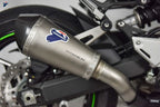 Kawasaki Z900 17-20 Termignoni Slip on - TERMIGNONI