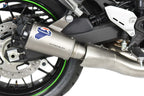 Kawasaki Z900RS 18-22 Termignoni Slip on - TERMIGNONI