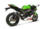 Kawasaki ZX10R/RR 20-24 Termignoni Slip On - TERMIGNONI