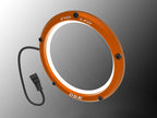 DBK Evo Led Transformation Kit For Clear Clutch Cover