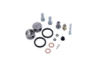 Beringer Repair kit for 2-piston caliper Ø27mm
