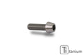 CNC Racing Screw M5X20 – Titanium - CNC Racing