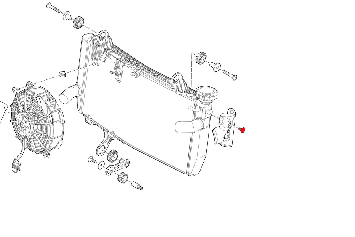 CNC Racing Screw kit water cooler side cover Ducati Monster 937 - CNC Racing image 3