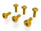 DBK MTSV4 Panel Screw Kit