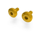 DBK MTSV4 Voltage Regulator Cover Screws Kit